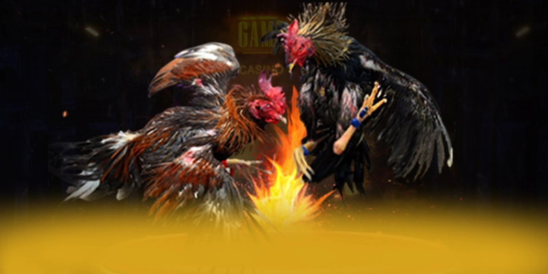 DAGA88 - Trang game cực hot trên thị trường – Khám phá ưu đãi hot của DAGA88