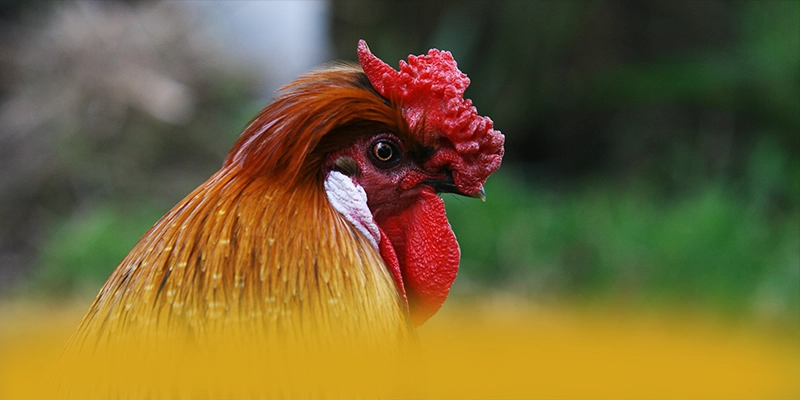 SUNWIN - Cổng game bài đạt chuẩn quốc tế được cộng đồng game thủ công nhận – Tìm hiểu thêm về SUNWIN