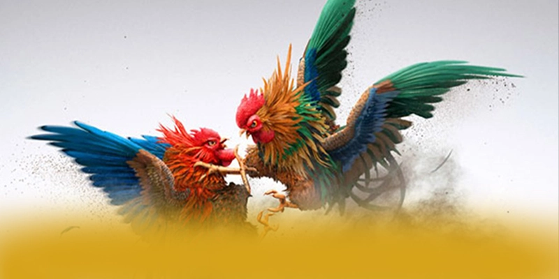 BL555 - Nền tảng cá cược trực tuyến với hệ thống bảo mật hiện đại được giới chuyên môn đánh giá cao – Đánh giá chi tiết về BL555