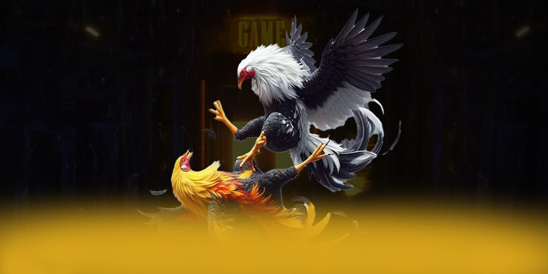 
Điểm nổi bật tại B52 - Sân chơi đáng chơi nhất số 1 Việt Nam
