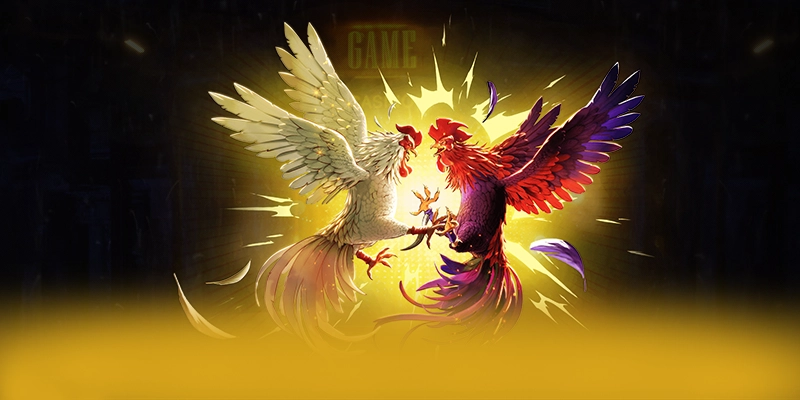 
Cùng trải nghiệm RR99 - Sảnh game có thưởng lớn hiện nay
